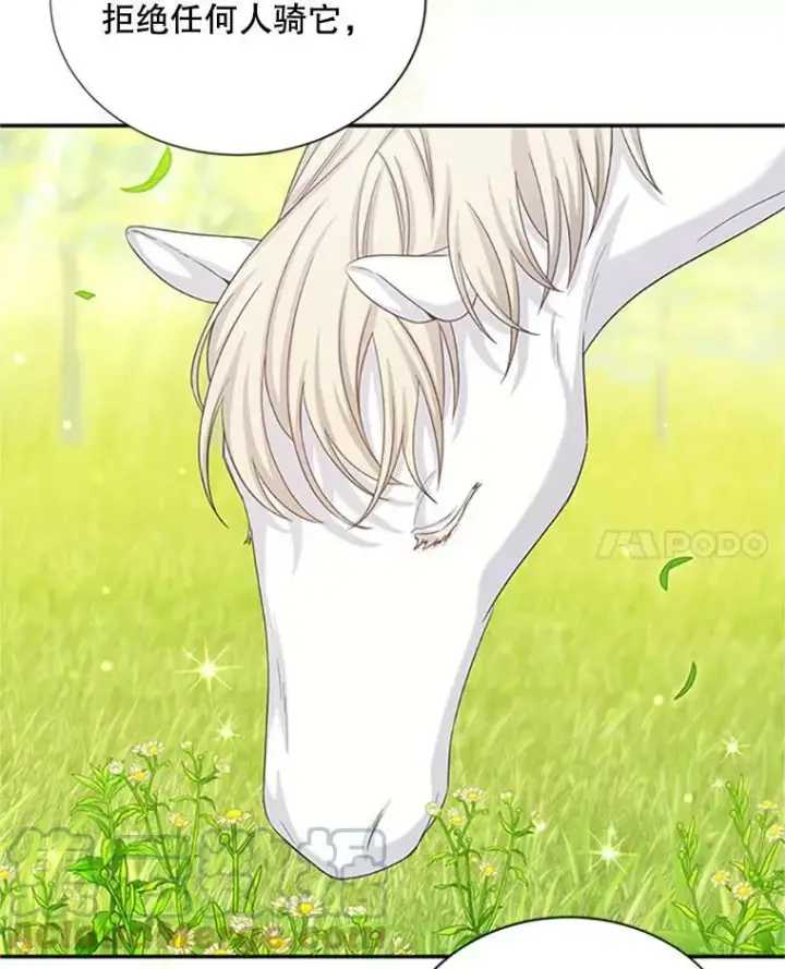 漫画《虚名的公爵之妻》72.来自波特家的一封信第22张图