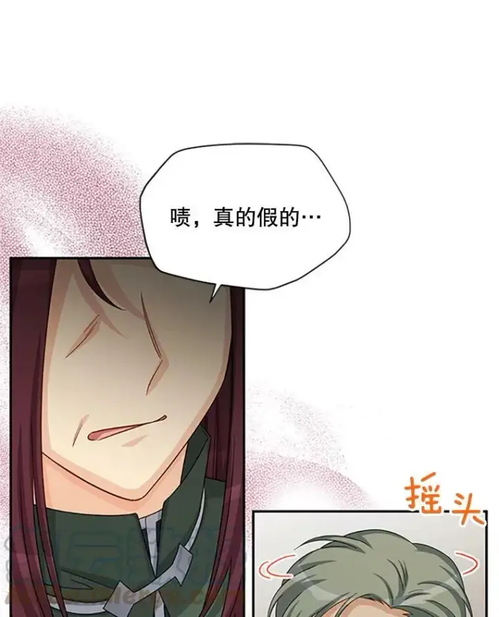 漫画《虚名的公爵之妻》76.侦察第13张图