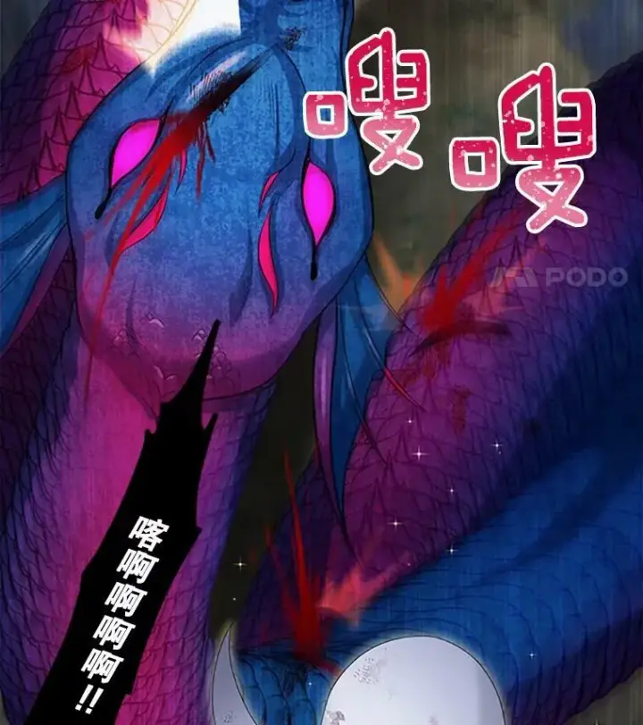 漫画《虚名的公爵之妻》78.夜袭魔兽村第100张图