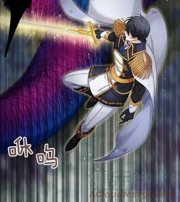 漫画《虚名的公爵之妻》78.夜袭魔兽村第101张图