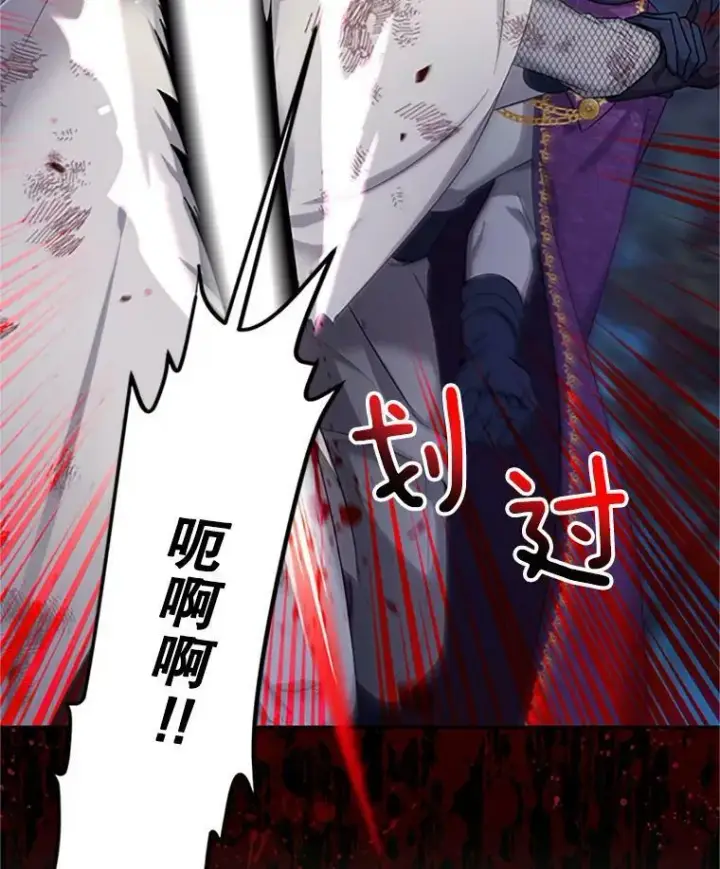 漫画《虚名的公爵之妻》80.加斯帕的新影子第102张图