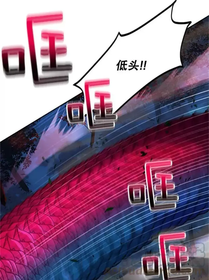 漫画《虚名的公爵之妻》80.加斯帕的新影子第41张图