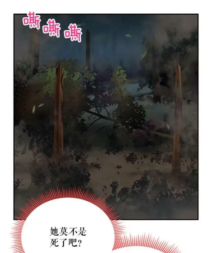 漫画《虚名的公爵之妻》80.加斯帕的新影子第62张图