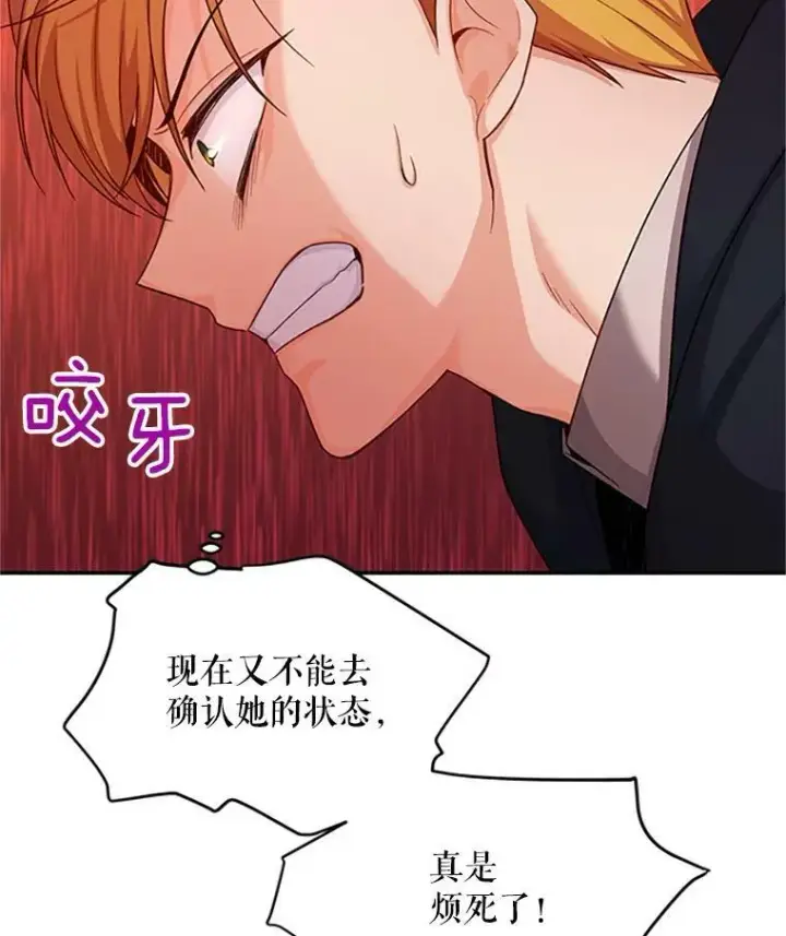 漫画《虚名的公爵之妻》80.加斯帕的新影子第66张图