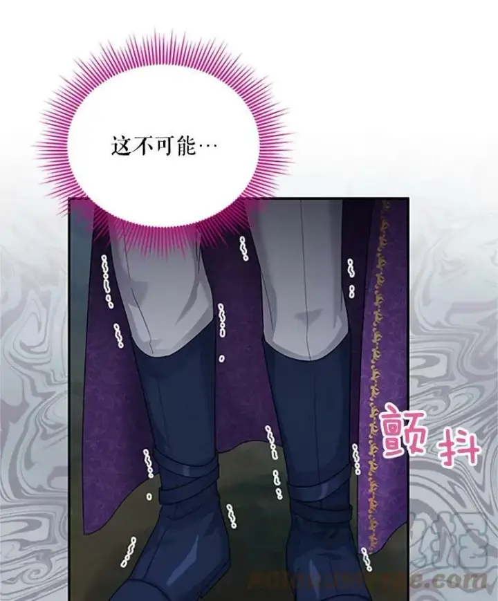 漫画《虚名的公爵之妻》80.加斯帕的新影子第93张图