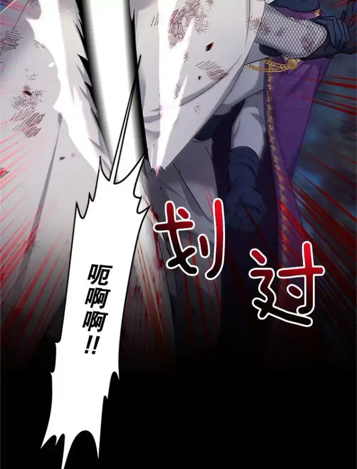 漫画《虚名的公爵之妻》81.心灰意冷的骑士第12张图