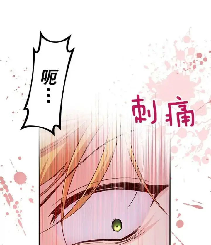 漫画《虚名的公爵之妻》81.心灰意冷的骑士第29张图