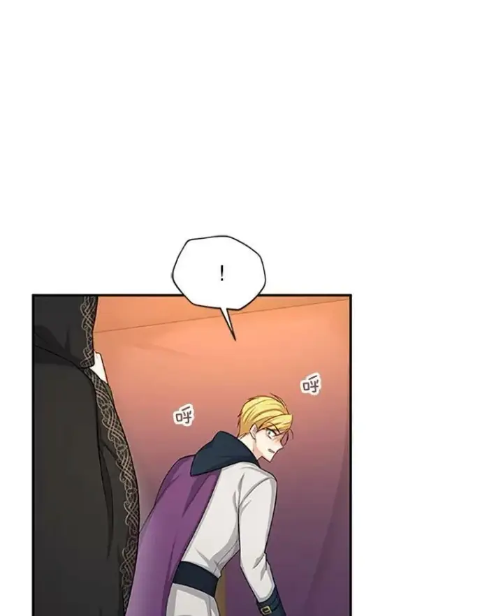 漫画《虚名的公爵之妻》83.深夜对练第102张图