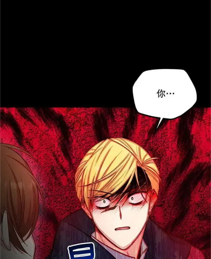 漫画《虚名的公爵之妻》103.神秘人再出现第108张图