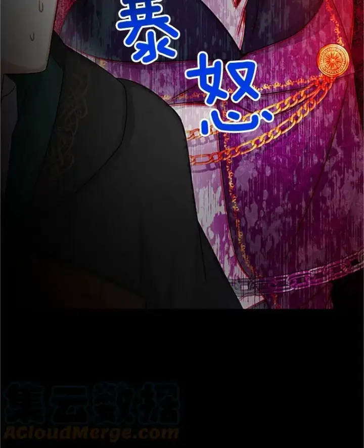 漫画《虚名的公爵之妻》103.神秘人再出现第109张图