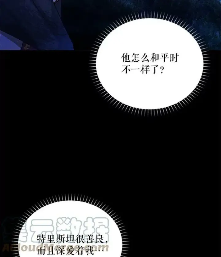 漫画《虚名的公爵之妻》103.神秘人再出现第61张图