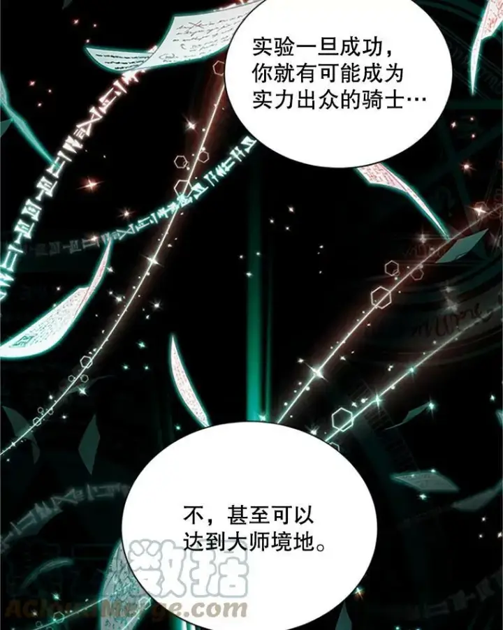 漫画《虚名的公爵之妻》103.神秘人再出现第73张图