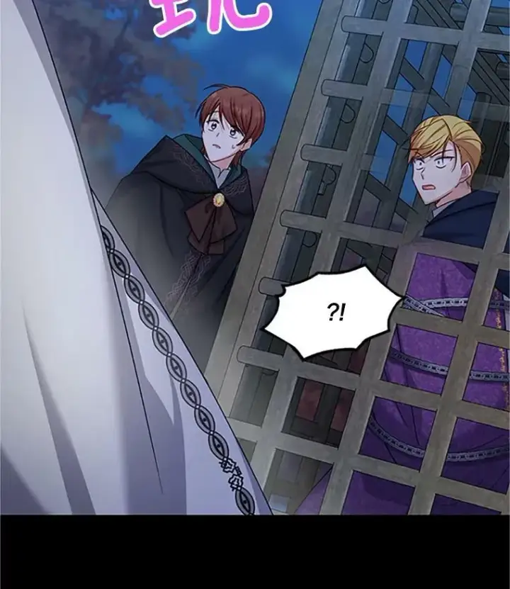 漫画《虚名的公爵之妻》103.神秘人再出现第95张图