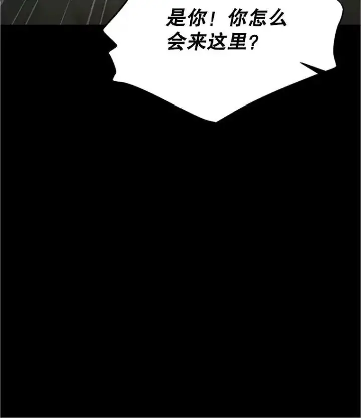 漫画《虚名的公爵之妻》103.神秘人再出现第98张图