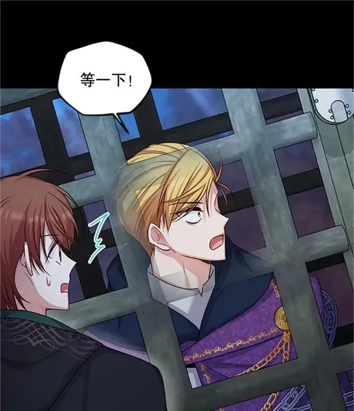 漫画《虚名的公爵之妻》103.神秘人再出现第99张图