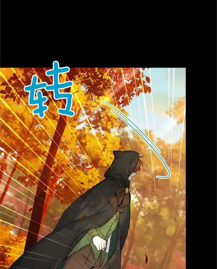 漫画《虚名的公爵之妻》105.伊娃娜的堂哥第27张图