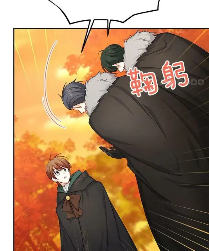 漫画《虚名的公爵之妻》105.伊娃娜的堂哥第43张图