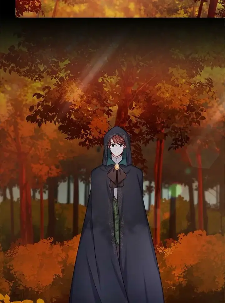 漫画《虚名的公爵之妻》105.伊娃娜的堂哥第6张图