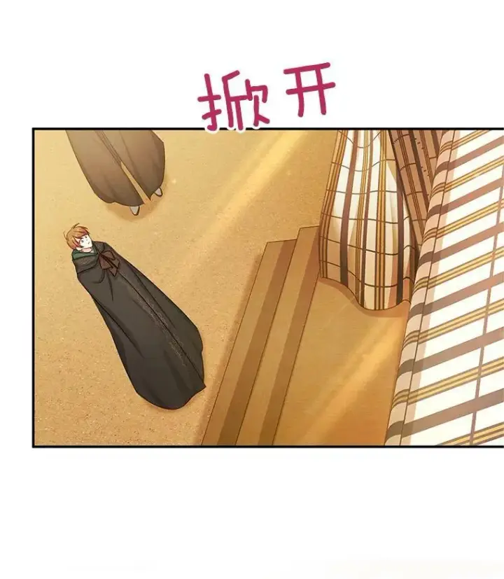 漫画《虚名的公爵之妻》105.伊娃娜的堂哥第64张图