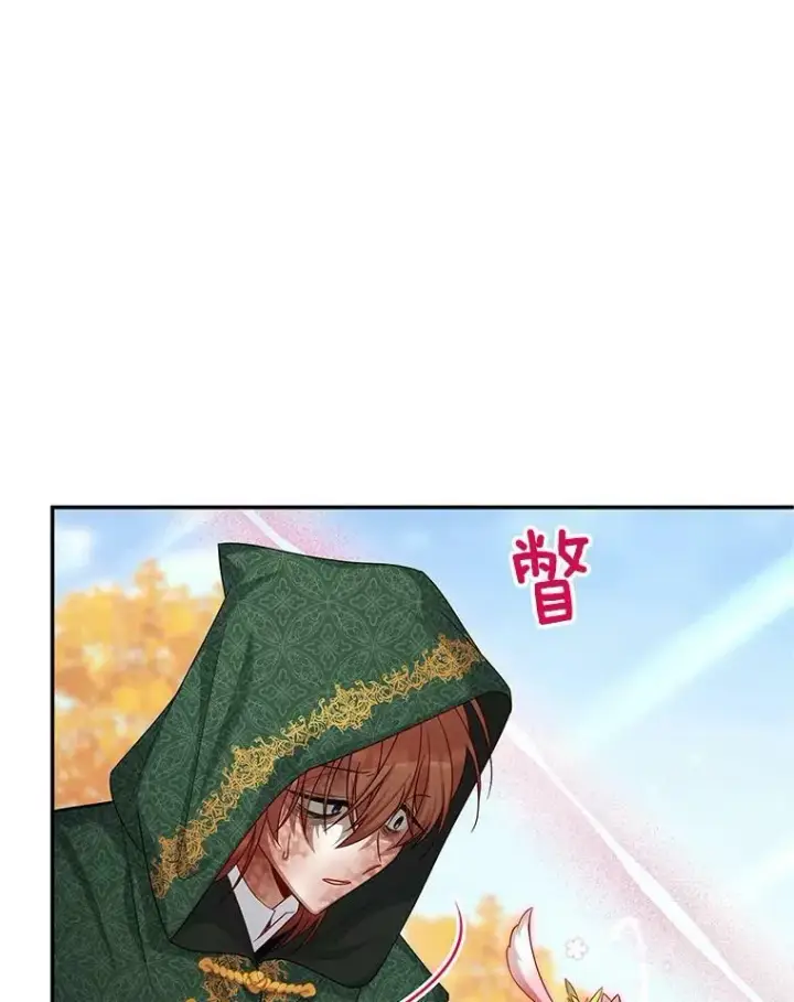 漫画《虚名的公爵之妻》108.顶级召唤师第62张图