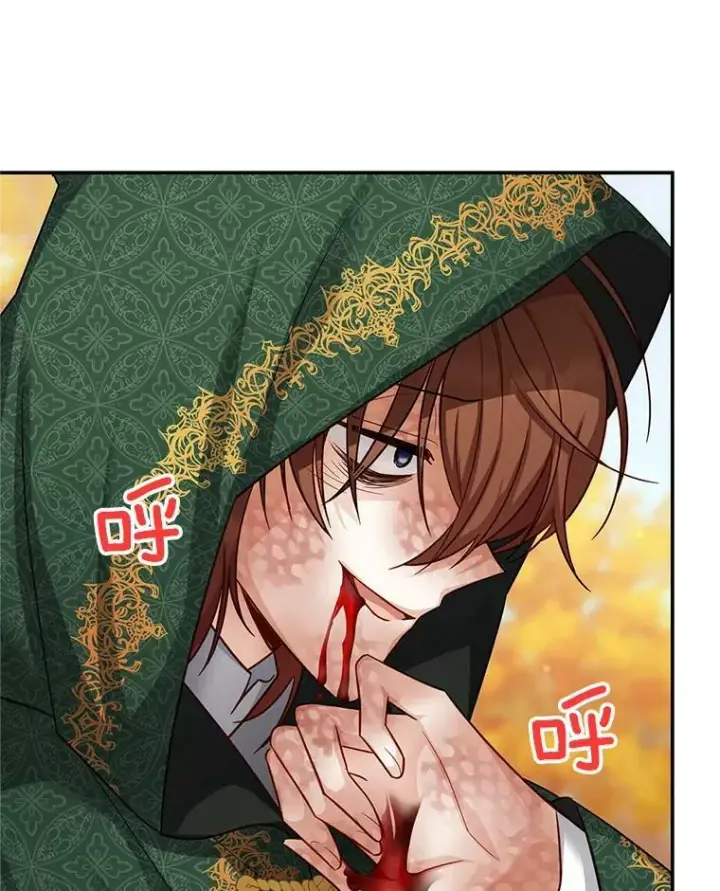 漫画《虚名的公爵之妻》108.顶级召唤师第70张图