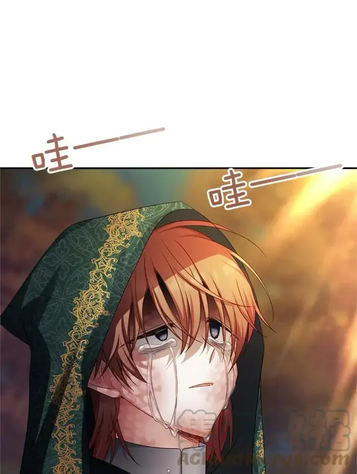 漫画《虚名的公爵之妻》109.神兽之王卢修斯第101张图
