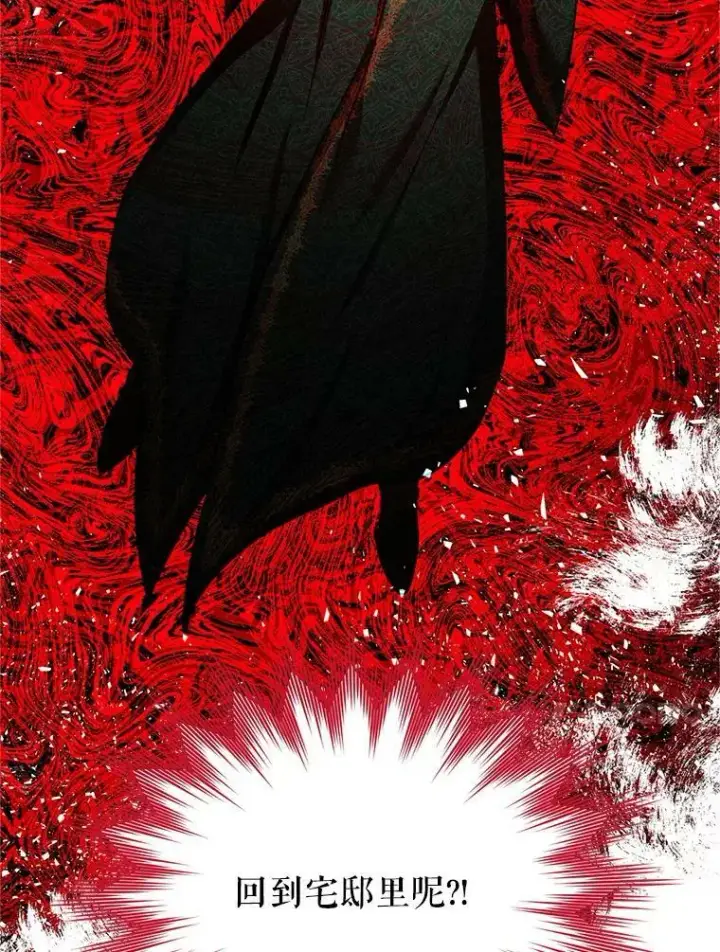 漫画《虚名的公爵之妻》114.神秘人的身份（本季完）第103张图