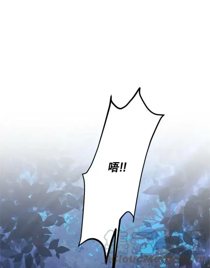 漫画《虚名的公爵之妻》114.神秘人的身份（本季完）第117张图