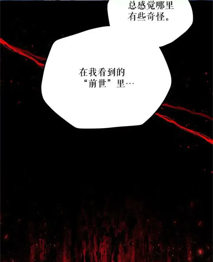 漫画《虚名的公爵之妻》114.神秘人的身份（本季完）第12张图