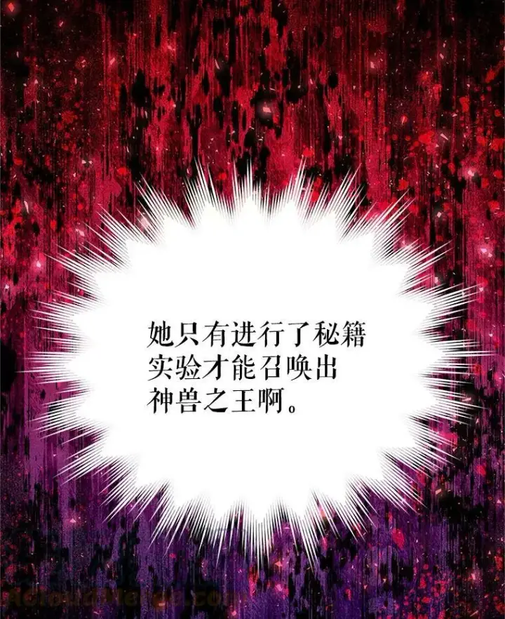漫画《虚名的公爵之妻》114.神秘人的身份（本季完）第13张图