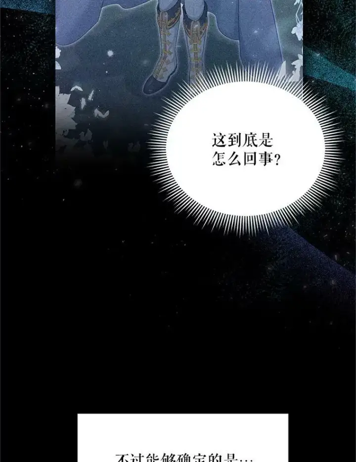漫画《虚名的公爵之妻》114.神秘人的身份（本季完）第16张图