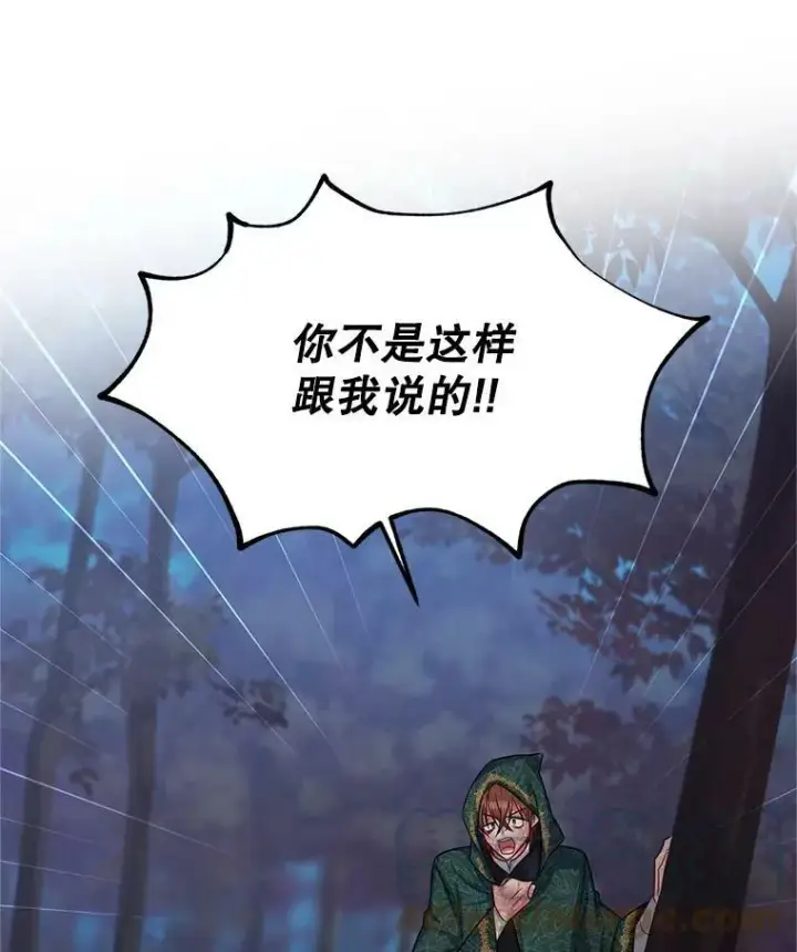 漫画《虚名的公爵之妻》114.神秘人的身份（本季完）第41张图