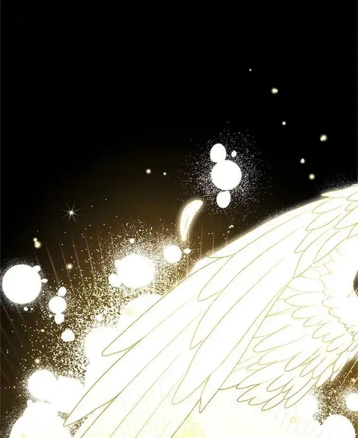 漫画《虚名的公爵之妻》114.神秘人的身份（本季完）第64张图