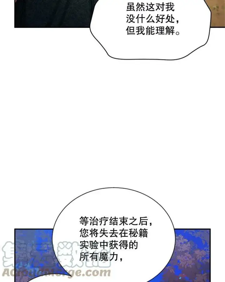 漫画《虚名的公爵之妻》114.神秘人的身份（本季完）第77张图