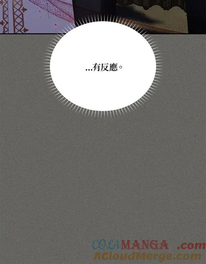 漫画《虚名的公爵之妻》第138话第17张图