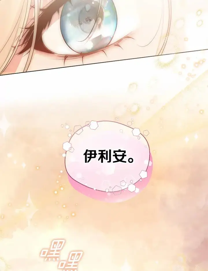 漫画《一不小心娶了女装大佬》43.伊利安的秘密第103张图