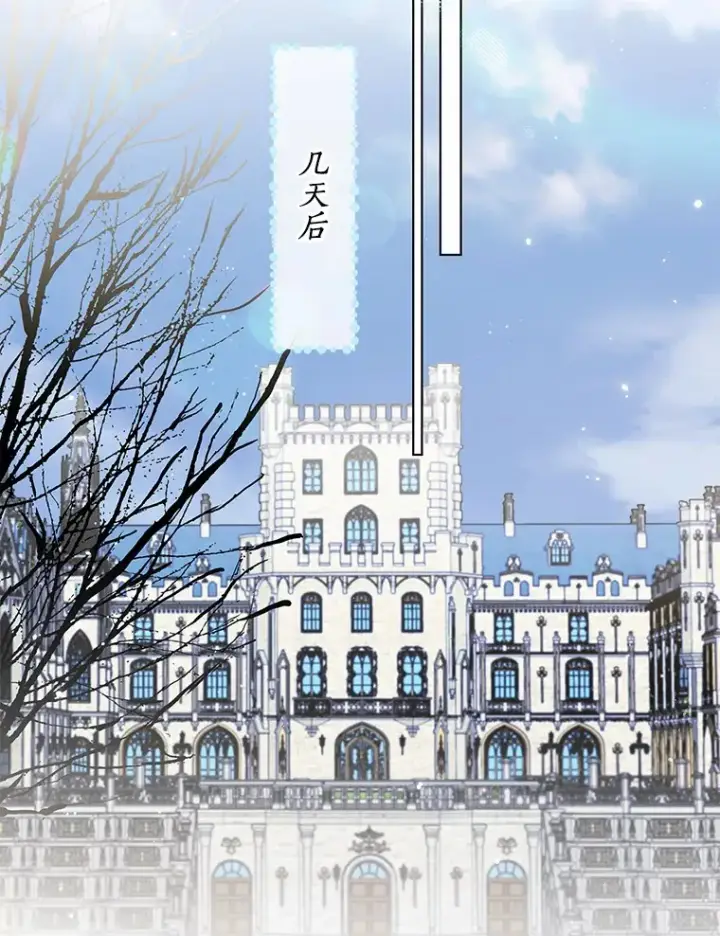 漫画《一不小心娶了女装大佬》43.伊利安的秘密第106张图
