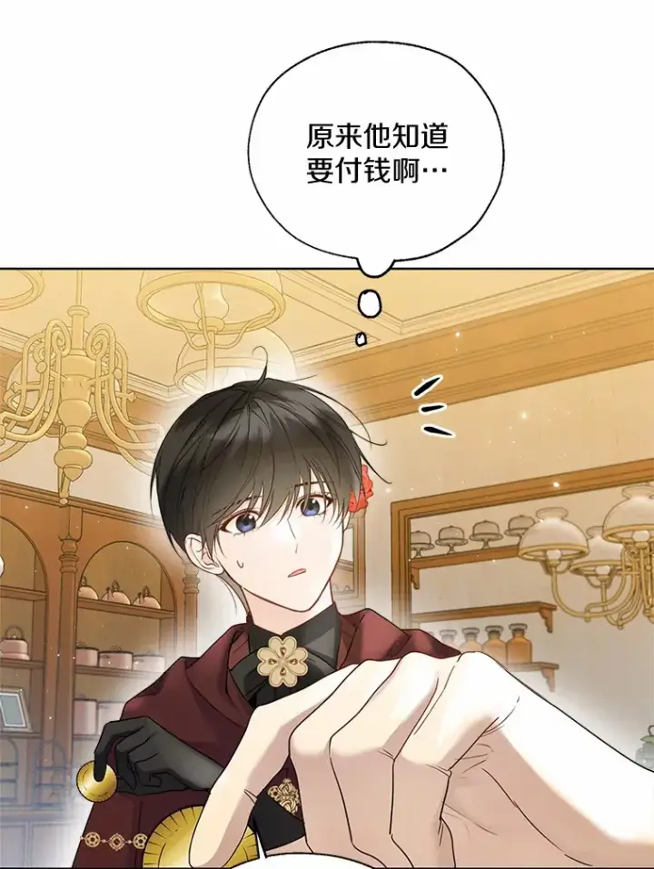 漫画《一不小心娶了女装大佬》43.伊利安的秘密第46张图