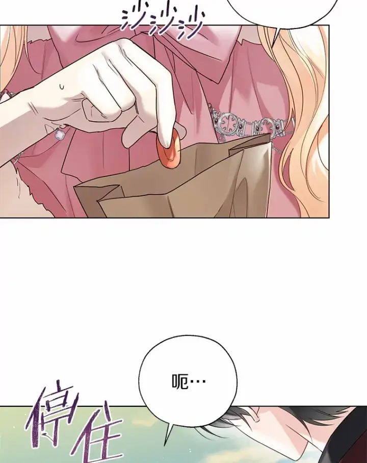 漫画《一不小心娶了女装大佬》43.伊利安的秘密第73张图