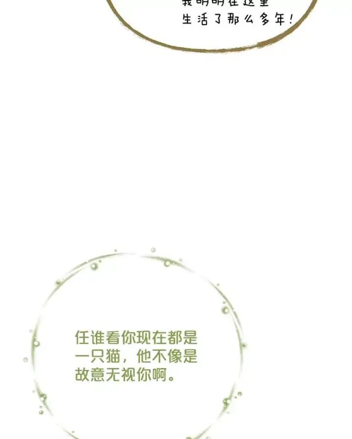 漫画《伊格列特》106.青龙的安危第14张图