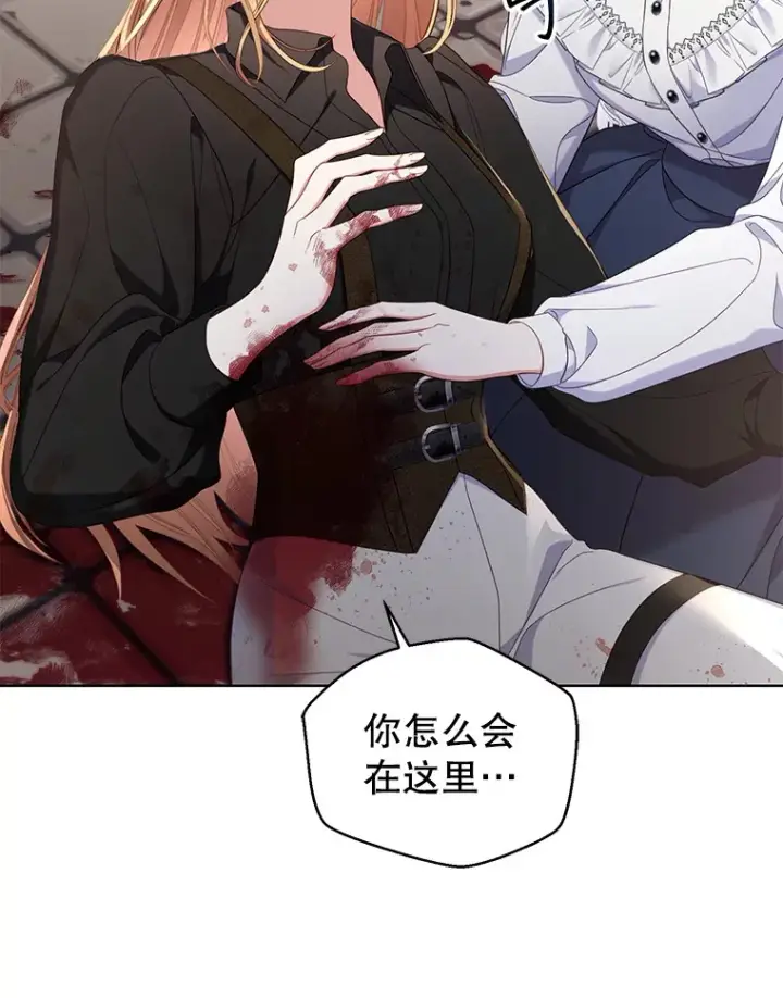 漫画《乙女游戏中的女仆想辞职》40.最后一块碎片第20张图