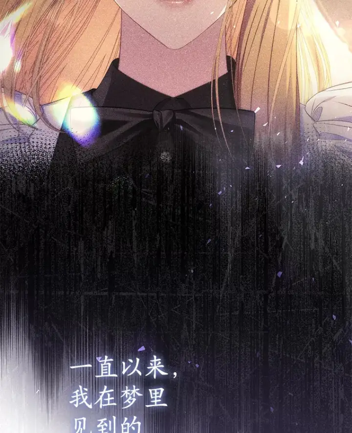 漫画《乙女游戏中的女仆想辞职》45.艾希德的告白第12张图