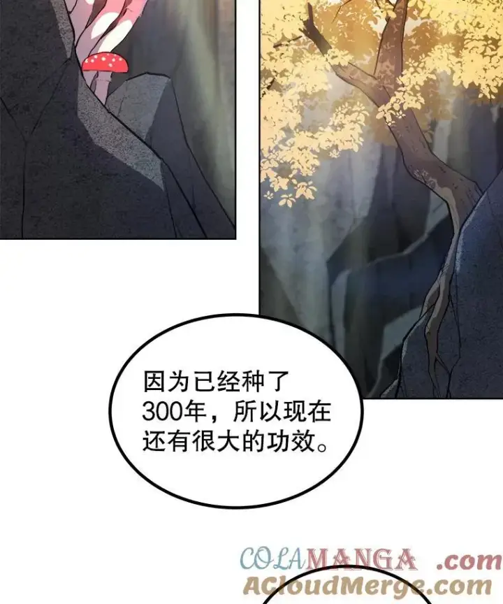 漫画《勇士的圣剑升级路》92.遗产的真相第121张图