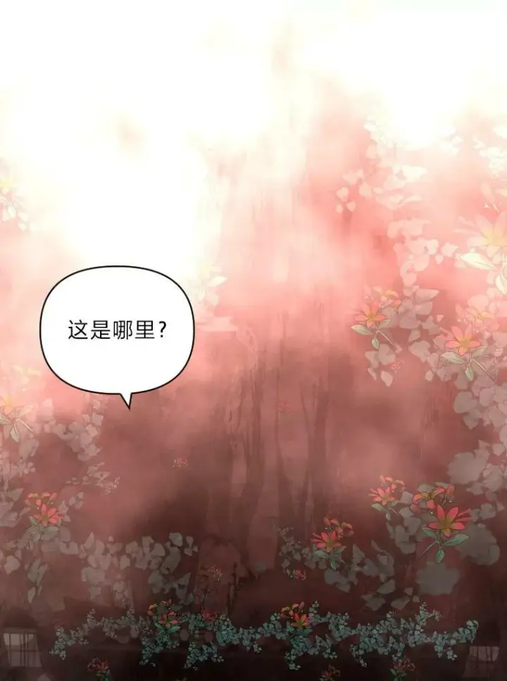漫画《有才能的魔法师》45.录夜的夙愿第57张图
