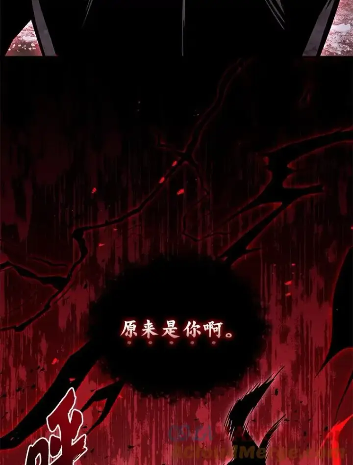 漫画《有才能的魔法师》87.死而复生第157张图