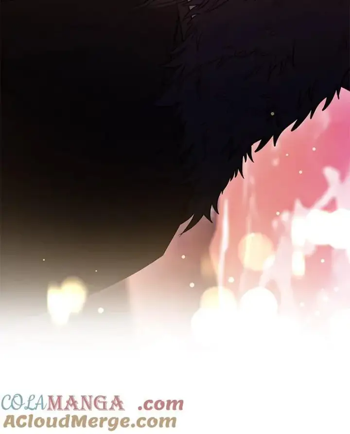 漫画《有才能的魔法师》96.律虎王的日记第33张图