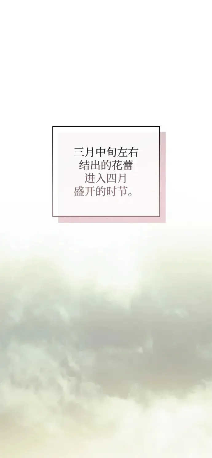 漫画《憎恨我的丈夫失忆了》外传 2话第2张图