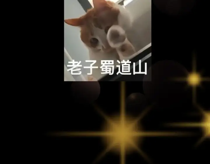 漫画《掌门低调点》216 一眼便已看破！第124张图