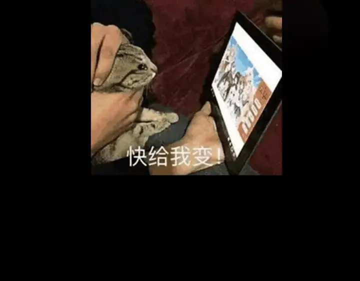 漫画《掌门低调点》234 与路朝歌一起战死！第172张图