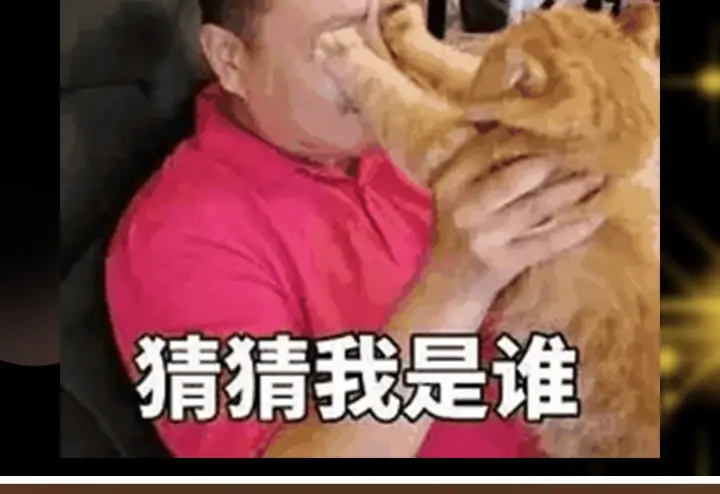 漫画《掌门低调点》235 原来精血竟然是我！第152张图
